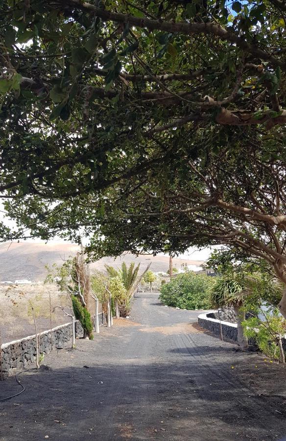 Finca Relax, Sea View, Oasis Vasiliko, La Asomada Tías Екстериор снимка
