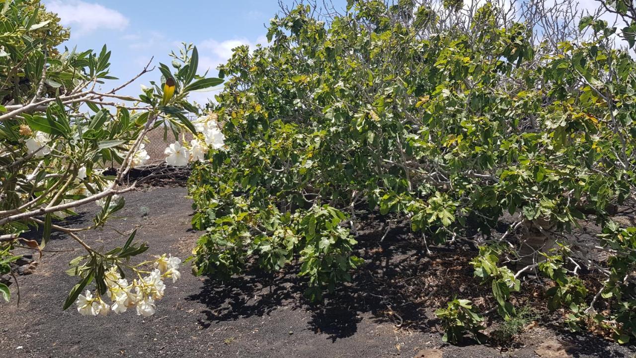 Finca Relax, Sea View, Oasis Vasiliko, La Asomada Tías Екстериор снимка